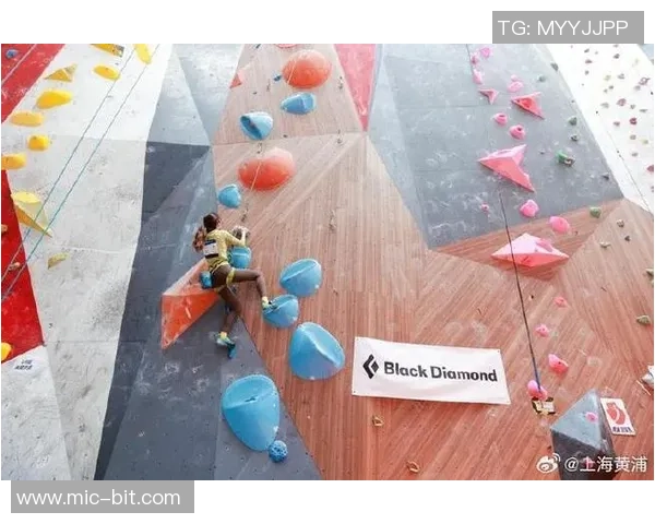 上海攀岩队再创佳绩攀岩状态排名创历史新高引发广泛关注