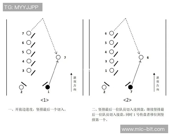 南京飞盘队整体压制战术解析与实战应用探讨