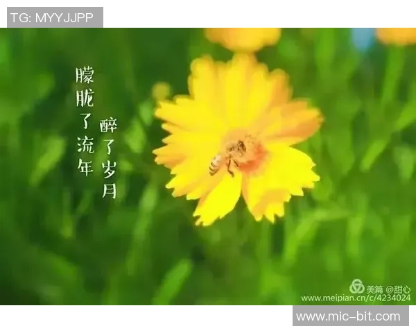 张静的飞盘人生：从热爱到成就的深度对话与启示