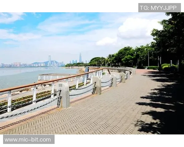 深圳排球队在联合会杯中的强势表现与未来展望分析 深圳排球队在联合会杯中的强势表现与未来展望分析