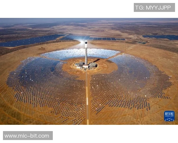 武汉攀岩队协作技巧研究与训练方法探讨助力攀岩竞技水平提升