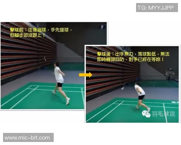 成都羽毛球队区域防守体系解析与战术应用探讨 成都羽毛球队区域防守体系解析与战术应用探讨