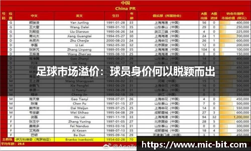 足球市场溢价：球员身价何以脱颖而出
