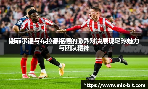 谢菲尔德与布拉德福德的激烈对决展现足球魅力与团队精神